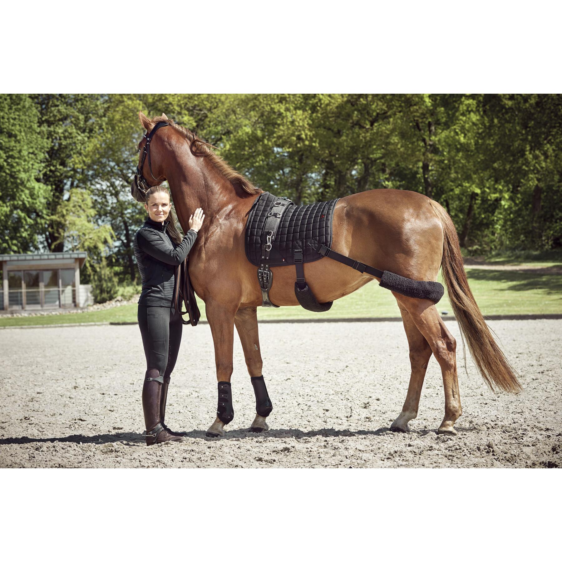 Cuscinetto da sella con elastico per cavalli da addestramento Catago FIR-Tech