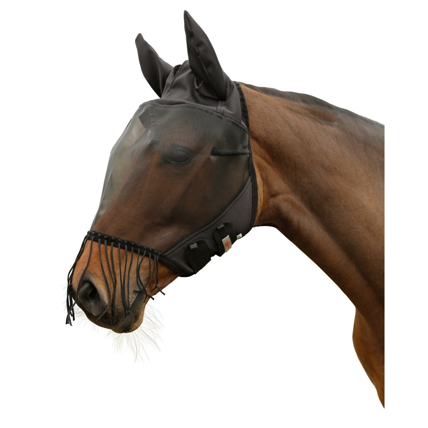 Maschera antimosche per cavalli con protezione per le orecchie e frangia per le narici Covalliero
