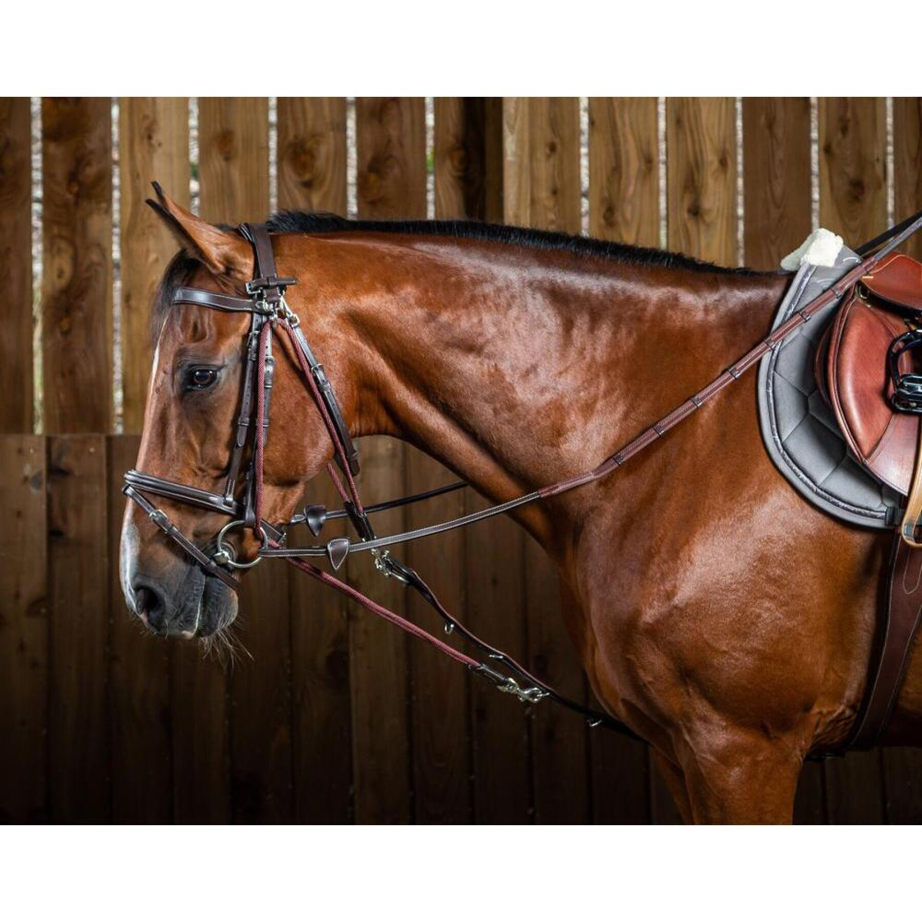 Accessorio per briglia da cavallo in nylon Dy’on Gogue