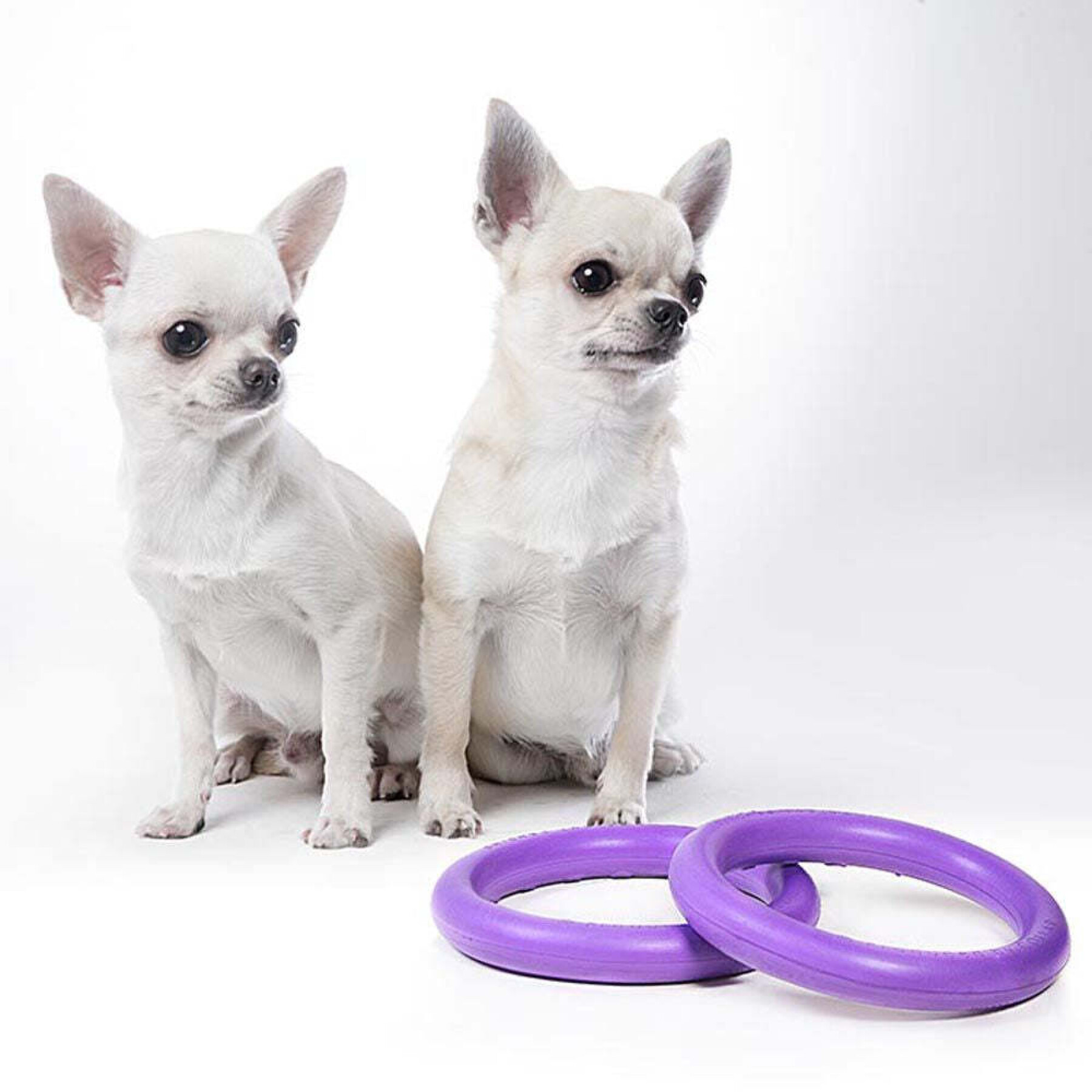 Micro giocattolo per cani Ferplast Puller (x2)