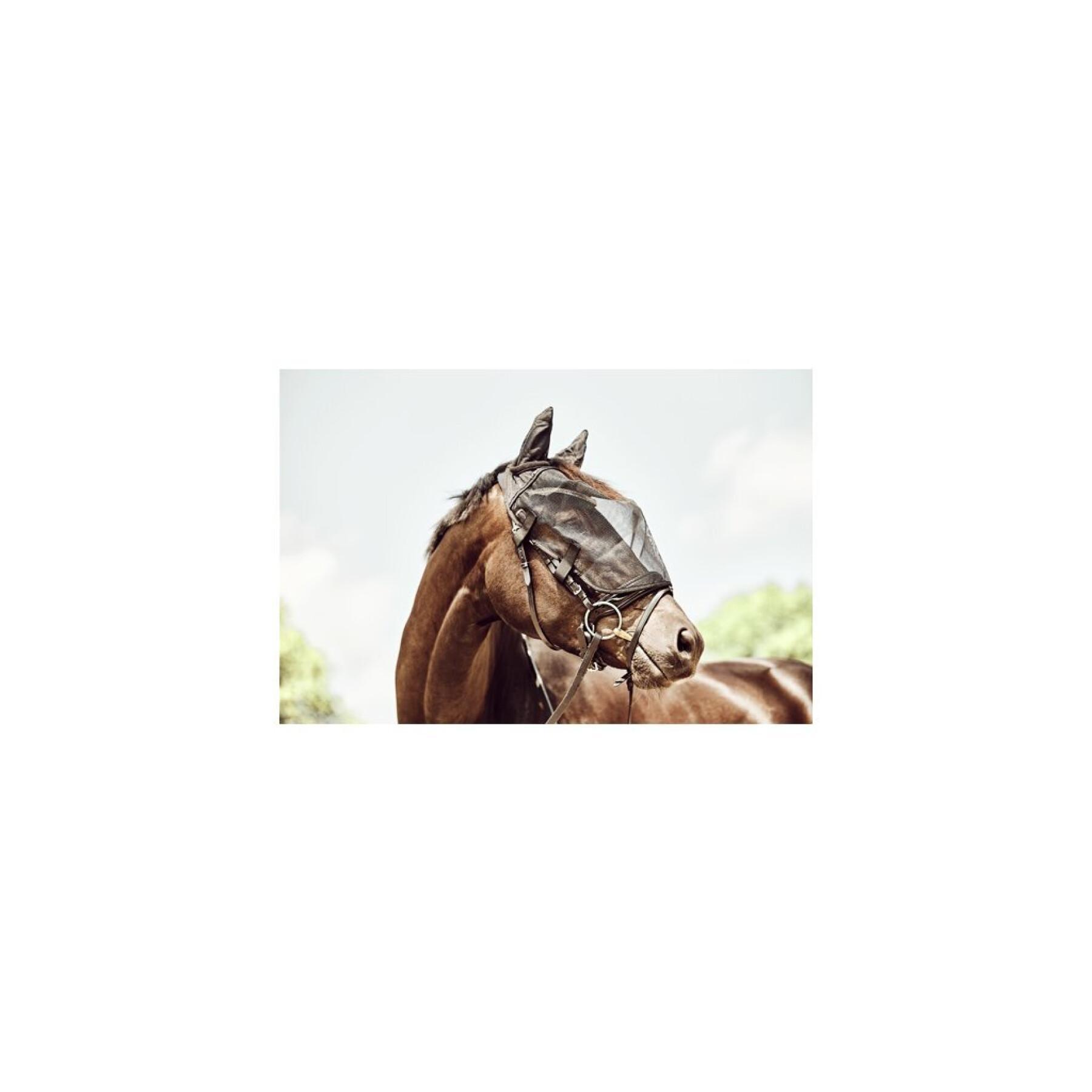Maschera antimosche per cavalli per briglia HorseGuard
