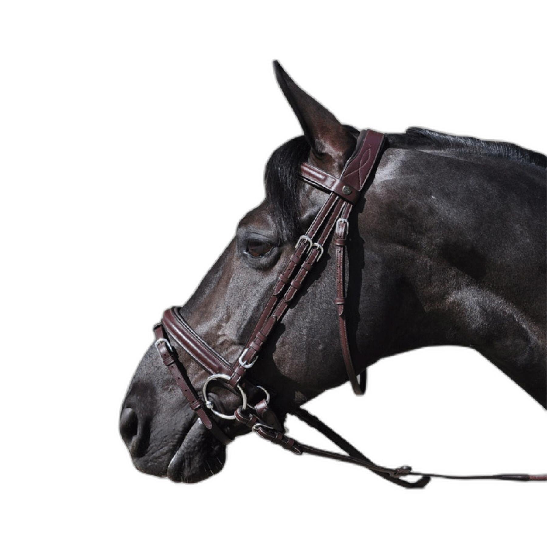 Briglia combinata Denver per l'equitazione Lexington