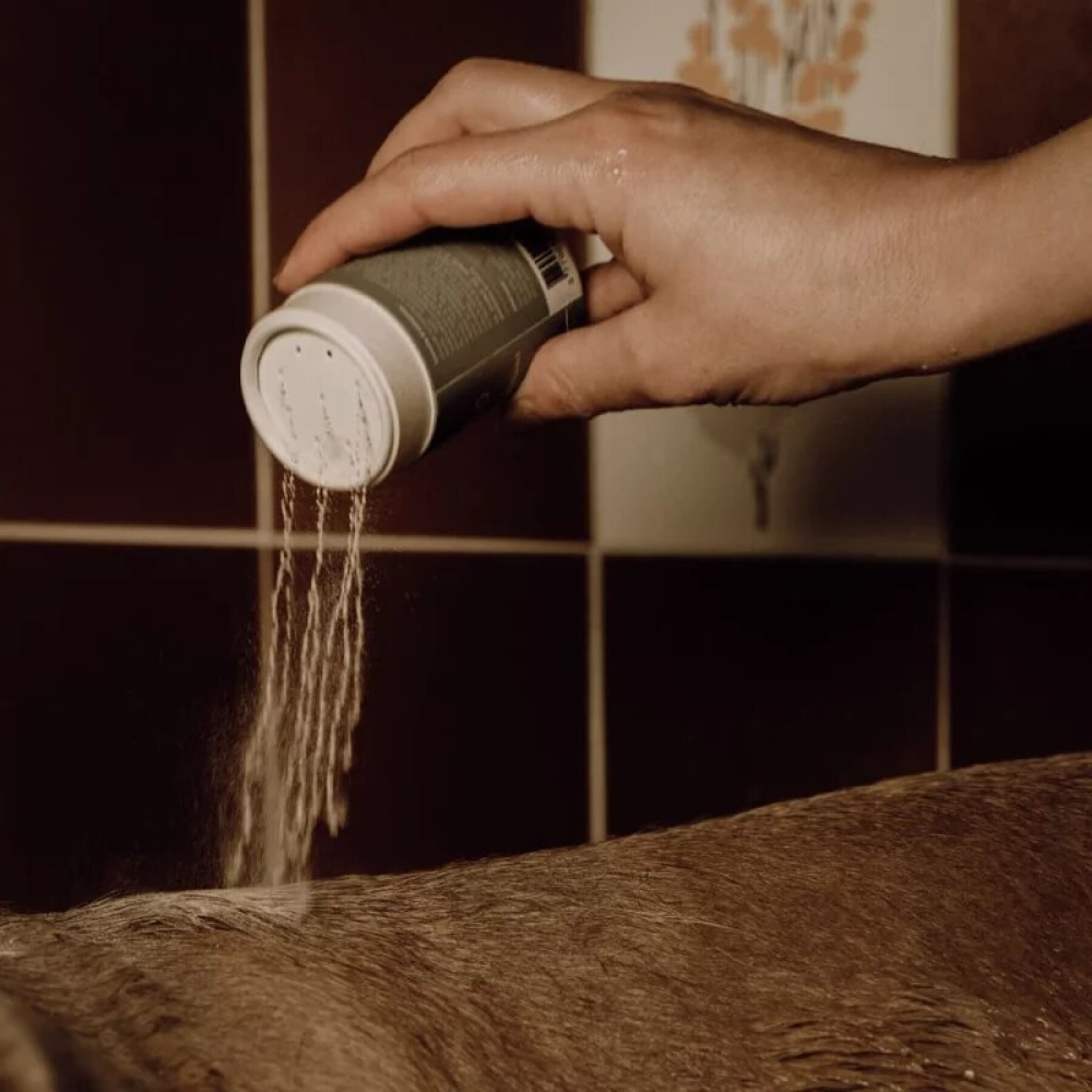 Shampoo schiumogeno per cani Nellumbo
