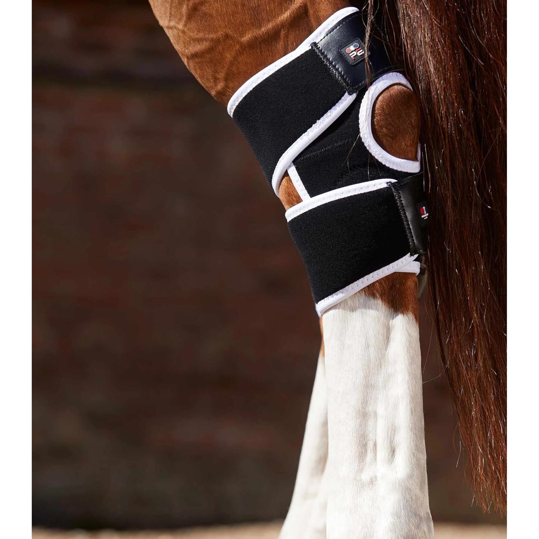 Ginocchiere magnetiche per cavalli Premier Equine Magni-Teque
