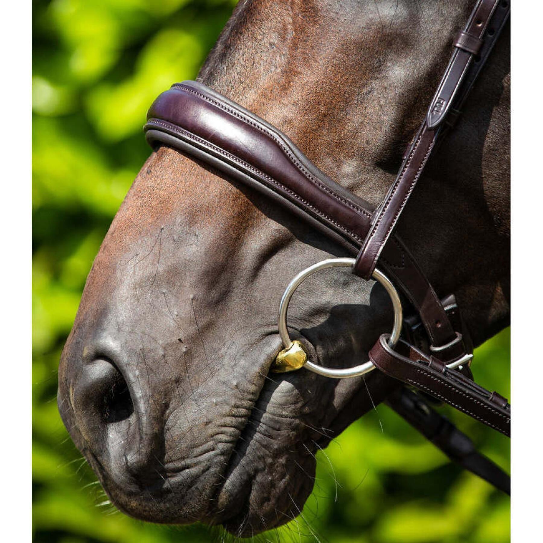 Naso anatomico di cavallo Premier Equine Verdura Cavesson