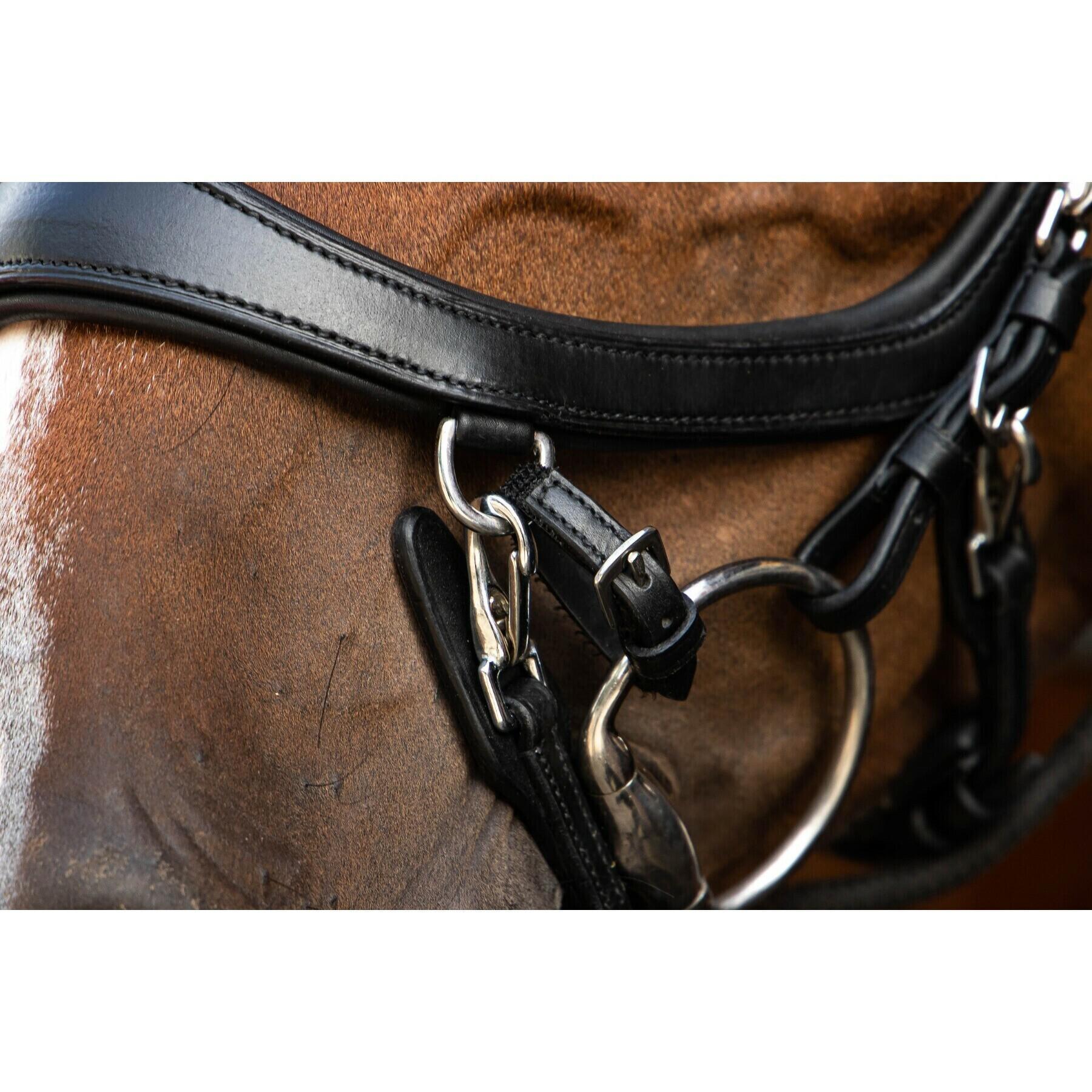 Cinghie elastiche per il morso del cavallo Presteq