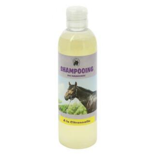 Shampoo per cavalli ODM Maréchal