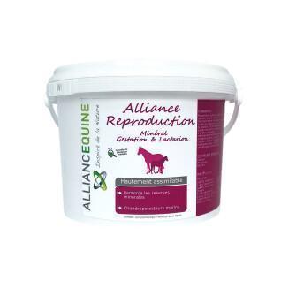 Integratore alimentare minerale per cavalle Alliance Equine Alliance Reproduction