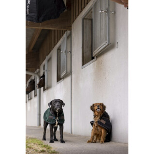 Coperta per cani in nylon Diego & Louna Teddy