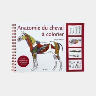 Libro da colorare Anatomia del cavallo Ekkia