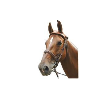 Briglie da equitazione Eric Le Tixerant Headset
