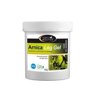 Gel rinfrescante per cavalli Horse Master Arnica Leg 500 g