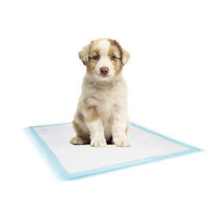 Tappeto per l'addestramento dei cani Nobby Pet (x50)