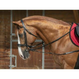 Pacco/coperta per cavalli corta ed elastica Norton Pro