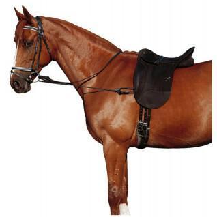 Pacco elastico regolabile per cavalli Norton