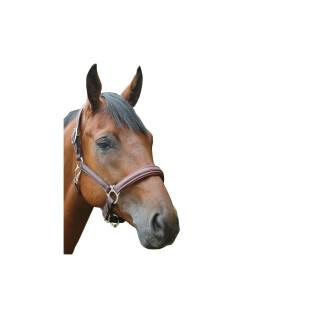 Cavezza per cavalli in polietilene Privilège Equitation Royan