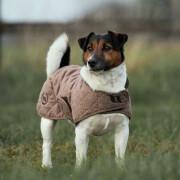 Cappottino per cani Back on Track haze collection 25
