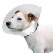 Collare veterinario per cani Ferplast GRO 6005