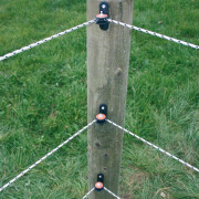 Isolatori per recinzione elettrica ad angolo con carrucola per pali in legno Gallagher (x30)