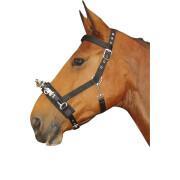 Cavalli cavessoni Harry's Horse