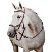 Briglie da equitazione con redini in gomma Horseware Micklem 2 Deluxe