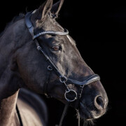 Briglie anatomiche per l'equitazione HV Polo Legacy deluxe