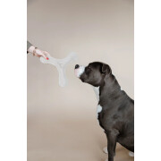 Gioco per cani Kentucky Dogwear Pastel Boomerang