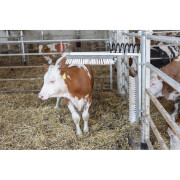 Spazzola multifunzione per mucche Kerbl Texas