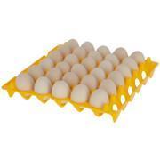 Vassoi per 30 uova pp Kerbl