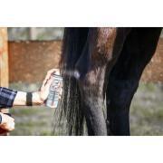 Spray per ferite allo zinco per cavalli Leovet