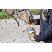 Crackers per la locomozione dei cavalli curcuma Natural Innov Natural'Crackers Moov - 300 g