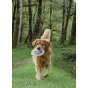 Frisbee per cani Nobby Pet Flybee