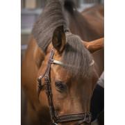 Briglie da equitazione Penelope Harmonie