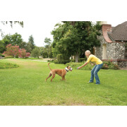 Collare supplementare per cani stay & play PetSafe PIF19-14011