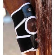 Ginocchiere magnetiche per cavalli Premier Equine Magni-Teque