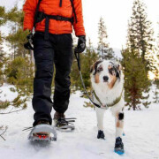 Scarpe invernali per cani Ruffwear Polar Trex